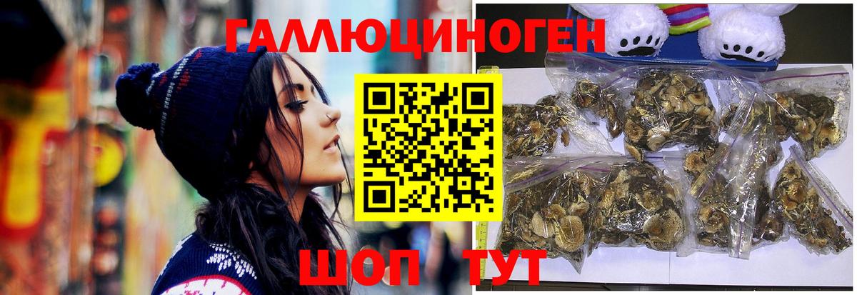 Псилоцибиновые грибы ЛСД  Псилоцибиновые грибы Psilocybe  Ессентуки  Вход с VPN 
